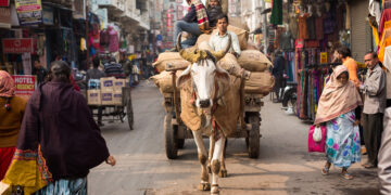 Индия обгонит Китай по населению в этом году