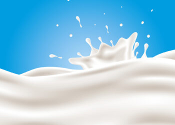 Ксюша, юбочка из молочного плюша