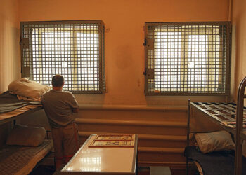 Лес не рубят – щепки улетели на фронт