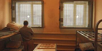 Лес не рубят – щепки улетели на фронт