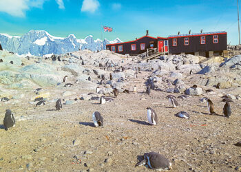 Как в Антарктиде живёт полярная станция  с чисто женской командой