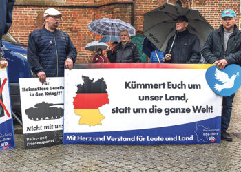 Опрос: правые популисты сравнялись с социал-демократами