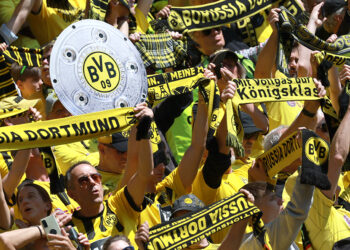 Впереди  Европы всей  (по посещаемости)