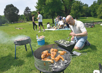 Что можно и нельзя  при приготовлении шашлыков