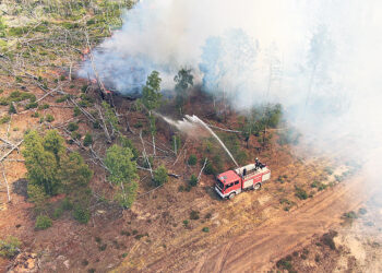 В Бранденбурге горят леса