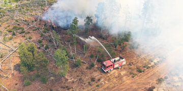В Бранденбурге горят леса