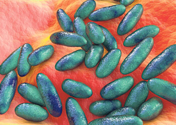 Британские учёные обнаружили древнейшие следы чумы