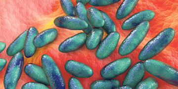 Британские учёные обнаружили древнейшие следы чумы