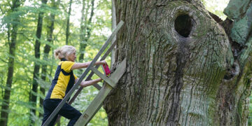 Письма нежные очень мне нужны