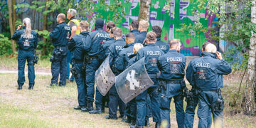 Берлинские полицейские дольше суток искали «сбежавшую львицу»
