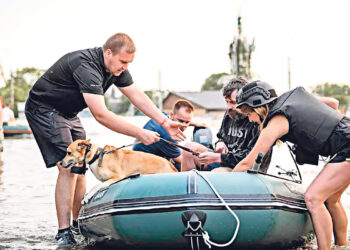 «Они не хотели покидать свой освобождённый дом»