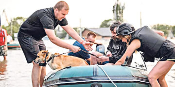 «Они не хотели покидать свой освобождённый дом»