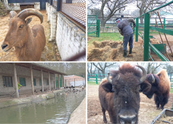 «Больше года мы смогли проработать на оккупированной территории под украинским флагом»