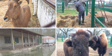 «Больше года мы смогли проработать на оккупированной территории под украинским флагом»