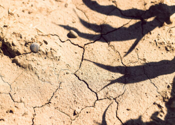 Июльский зной побил рекорды –  но «климатическая паника» необоснована