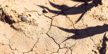 Июльский зной побил рекорды –  но «климатическая паника» необоснована