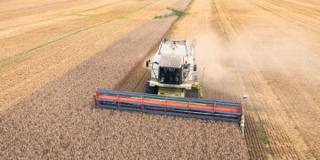 У России начались проблемы с экспортом зерна