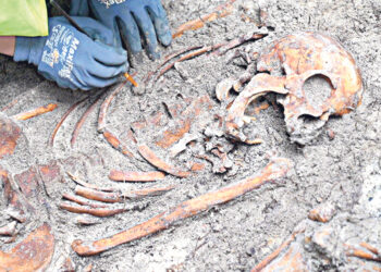 В Любеке археологи раскопали средневековое кладбище для бедных