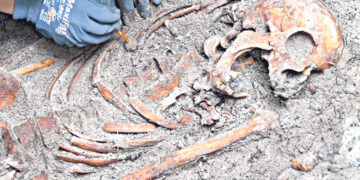 В Любеке археологи раскопали средневековое кладбище для бедных