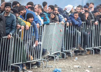 Вена добилась сокращения числа нелегалов