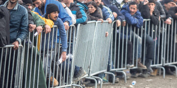 Вена добилась сокращения числа нелегалов