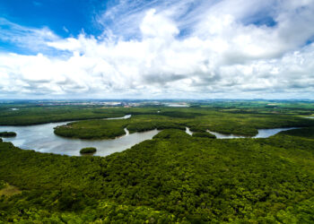В Бразилии официально признали  реку живым существом