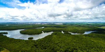 В Бразилии официально признали  реку живым существом