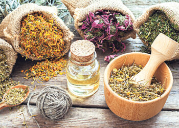 Созван первый глобальный саммит  по народной медицине