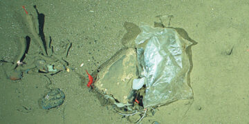 В Швеции отменят налог на пакеты