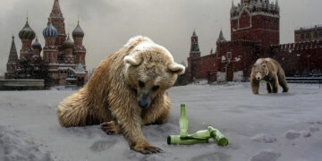 Животные тоже квасят