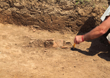 Обнаружено самое древнее деревянное строение