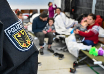 На зимовку в Германию