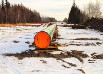 Китай заменил «Газпрому» всего 11% потерянных европейских поставок