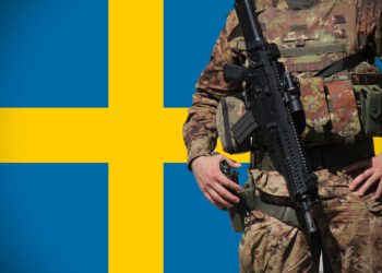 Швеция отправит военных к российским границам впервые со времён Наполеона