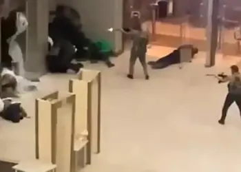 Крокус: как это было