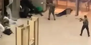 Крокус: как это было