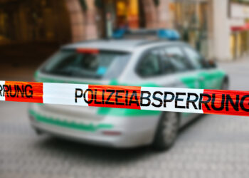 Двух украинок-беженок от войны убили в Германии, чтоб похитить у них ребенка