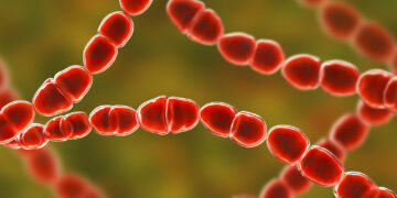 Новая смертельная болезнь набросилась на Японию