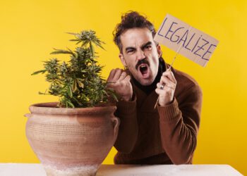 Заблудившиеся в трех кустах