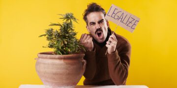 Заблудившиеся в трех кустах