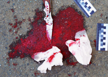 Россиянина подозревают в убийстве в Баварии двух украинцев