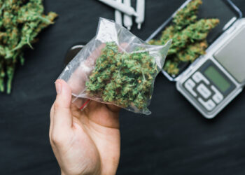 Срока растаяли, как дым