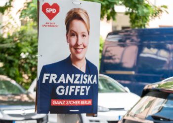В Берлине напали на сенатора Франциску Гиффай