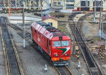 «Я чувствую себя как какой-то жираф, которого вот-вот расстреляют…»