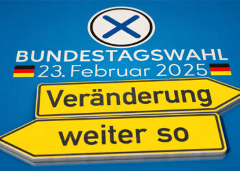 КАК ВРАЧИ ОТ ПОЛИТИКИ СДАЮТ ГЕРМАНИЮ КОЛДУНАМ