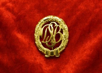 Знак DSA на груди у него…